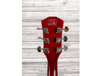 Sire LARRY CARLTON H7 STR Sire LARRY CARLTON H7 STR